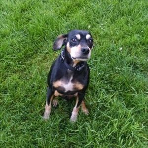 Meet your Posher, Eileen